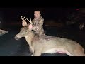 8 Deer Hunts in 5 Minutes! (Epic Hunting Compilation)