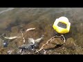 Perch & Crappies  Prince Gallitzin State Park PA. Fishing