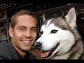 Paul Walker