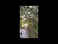 Trail riding (swampghost)