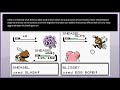 Pokemon G/S/C - Beat Up glitch (link battle desynchronization)