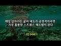 나이들면 노인이 아니라 어른이 되는법 | 노후인생 | 틀어놓고 자면 딱 좋은 이야기| 매일 듣는 말씀 |불교|인생조언|철학|명|오디오북