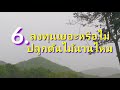 7ข้อสงสัยคนปลูกต้นไม้ต้องการคำตอบ ep42