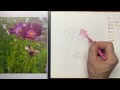 321회) 코스모스 그리기Drawing a cosmos flower#그림독학 #여행드로잉 #drawing