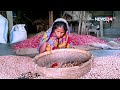 বাদামের খোসা ছাড়ানোর লাখ টাকার মেশিন বানালেন সুরুজ আলী | News24