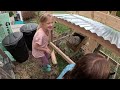 Rabbit Hutch Build - 1 Acre Homestead