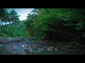 Mountain Stream Relaxing Sounds White Noise Therapy, Stress Relief, Meditation, Study