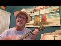 In The Summertime( ukulele cover)