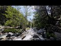 4K 1 Hour Relax by the Mountain River - Birds Chirping by the Creek - Nature Sounds