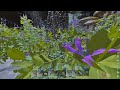 DOMINATING Day 1 On Aberration Small Tribes As A SOLO! - ARK Ascended PvP