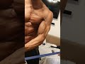 Super Shredded Matthias Riegler Pre Comp Condition