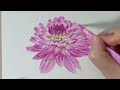 색연필로 그리는 다알리아 꽃 / Dahlia flower drawing with colored pencils