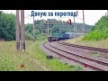 4K | 🚆ВЛ11м-145 з вантажним поїздом їде по неправильній колії ❌ | Львівська залізниця | UZ