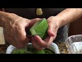 How to remove the poison from aloe leaves to make edible and for freezing