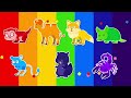 What kind of animal is it? | shadow animal game | Rainbow Desert Animals | Camel? Scorpion? NINIkids