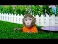 KiKi Monkey try to catch World's Biggest Watermelon Ice Cream from thief | KUDO ANIMAL KIKI