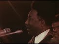 Muddy Waters - Mannish Boy (Live)