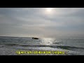 [대천해수욕장] 서해안 최고의 휴양지, 보령머드축제, 스카이바이크, 짚라인, 제트보트 등