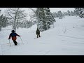 Snowboarder crashes into tree