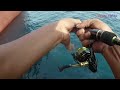 Mancing ikan tongkol dengan teknik jigging | micro jigging