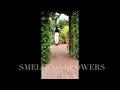 Smelling Flowers meditation