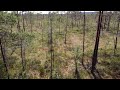 More swamp flying with drone Hyvinkää Finland.