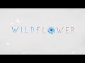Matthew Parker - Wildflower (Audio)