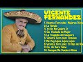 Vicente Fernandez-Momentos musicales inolvidables del año-Integrado