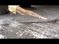 7 cats staking out under my van (1 in wheel arch)