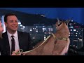 Dave Salmoni Scares Jimmy Kimmel with Wild Animals