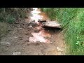 Being Chased By A Flash Flood In Palo Duro Canyon