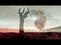 Mourning Tree [Ambient Piano Neoclassical Music] - by Eric Heitmann
