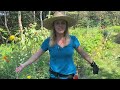 Harvesting Flowers from the Cutting Patch. Zone 5b, Newfoundland.