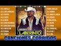 1 Hora De Puros Corridos De Caballos De Grupo Laberinto - Corridos Exitos Mix Lo Mejor de Lo Mejor