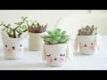 36 {Free} Succulent Container Ideas and Projects from Household Things