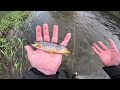 Spinning on a Wild Irish River for Trout!