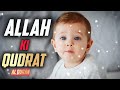 ALLAH Ki Qudrat About in Quran Verses Urdu Translation