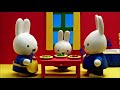 Miffy’s Beach Picnic | Miffy | Cartoons for Children