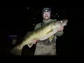 HUGE WALLEYE Breaks 7 State Records!! (New PB!)