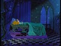 Sleeping Beauty 🛌 Aurora 😑 🌹