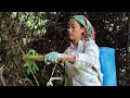 Single mother, 17 years old : new life - breaking wild bamboo shoots to make dried bamboo shoots