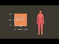 The temperature threshold the human body can't survive