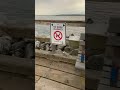 Walking through Canada’s longest pier