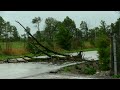 Tropical Storm-Force Wind and Damage in Indiana from Hurricane Beryl - 7/10/2024