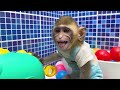Monkey ABU searches for a treasure and a 7-color ice cream vending machine -JJ's Cute Animal
