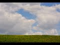 Clouds on Grass Time Lapse