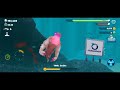 Hungry Shark Evolution Gameplay video