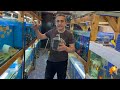 Have a cleaner aquarium