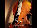 Moments of Reflection (Cello Solo)