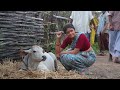 Dasara Movie Making Video | Nani | Keerthy Suresh | SrikanthOdela | Blockbuster Making of #Dasara